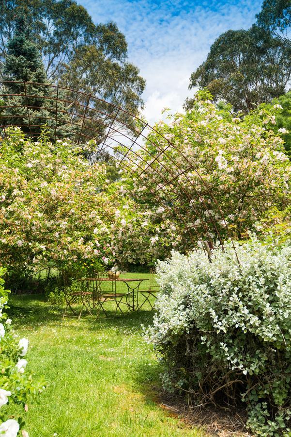 Hollyhock Macedon Exterior foto